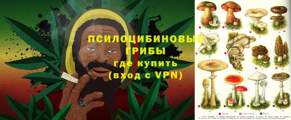 MESCALINE Осинники