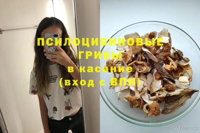 где можно купить   shop наркотические препараты  Галлюциногенные грибы Magic Shrooms  Липки 